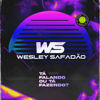 Alô Amor - Wesley Safadão