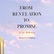 From Revelation to Promise: In the Wilderness (Unabridged) - Genella Harper