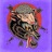Sulcus