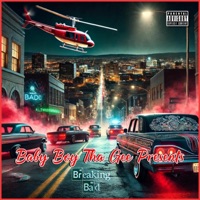 Intuition (feat. Illa Tha Illest) - Single - Baby Boy Tha Gee