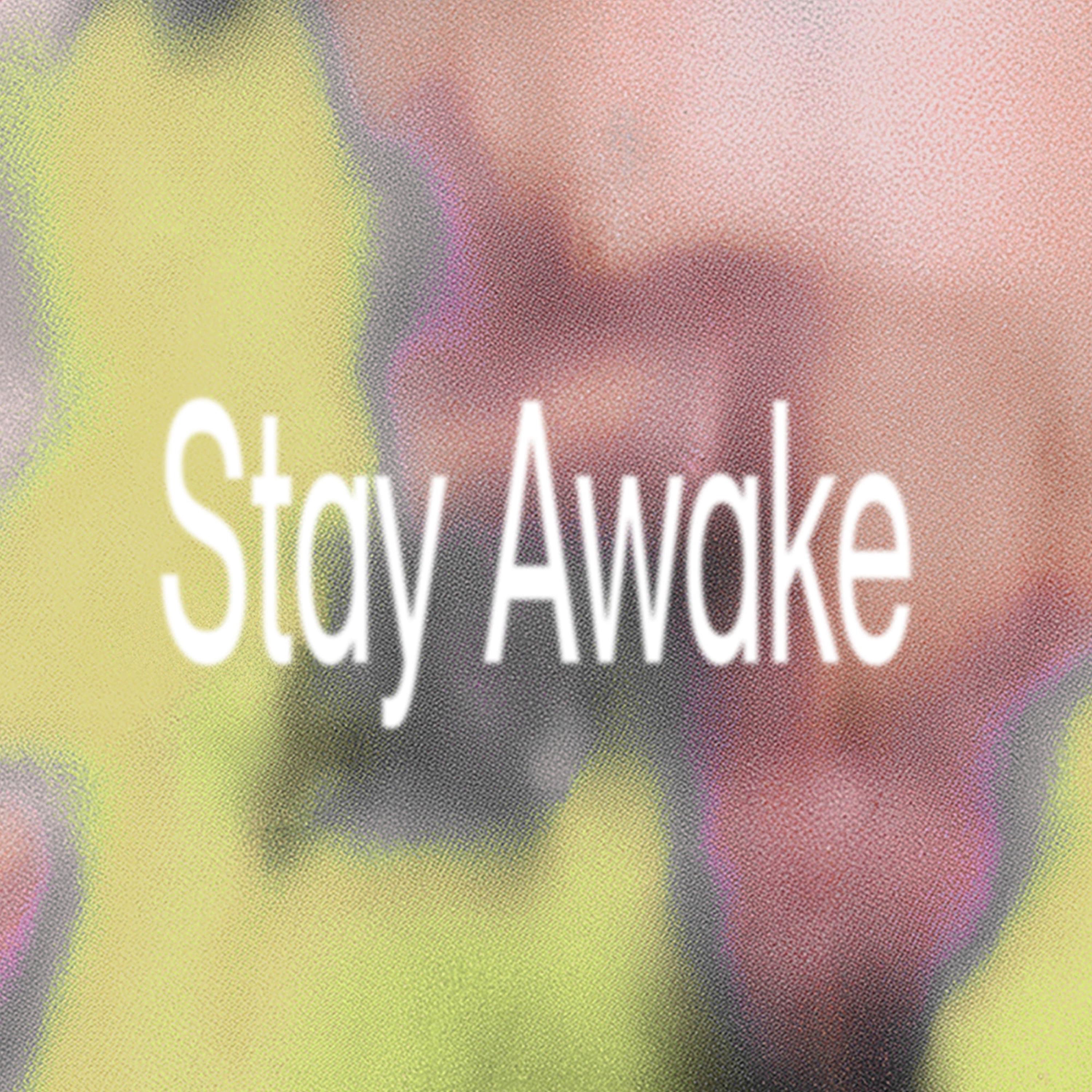 Stay Awake (Shed Demo 2025) - Single