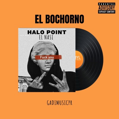 El Bochorno (feat. GadiMusicpr) - Single