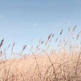 Live Forever (feat. 6obby) [Live] 7evvy