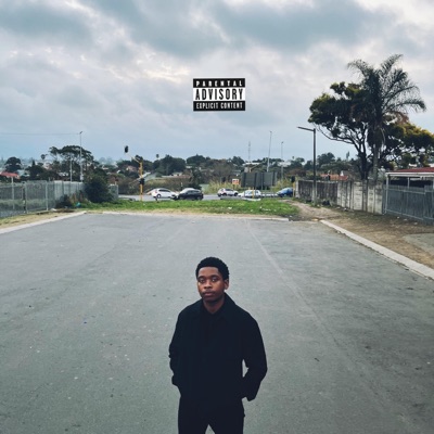 Nikee (feat. Shadz SA) - Single