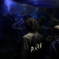 die4u #tobeimmortal - Single - Prod.Muthie