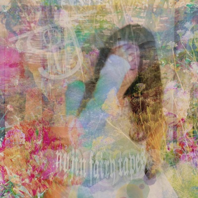 THE NUJIN FAIRY TAPES