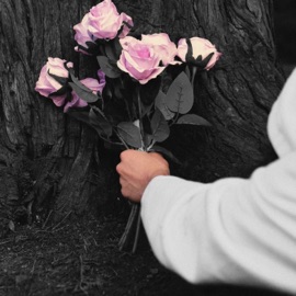 ON IRA S'MARIER SUR DES FLEURS MorA