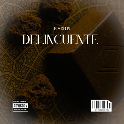 Delincuente - Single