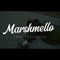 Marshmello - FrassBoss P.R!ch lyrics