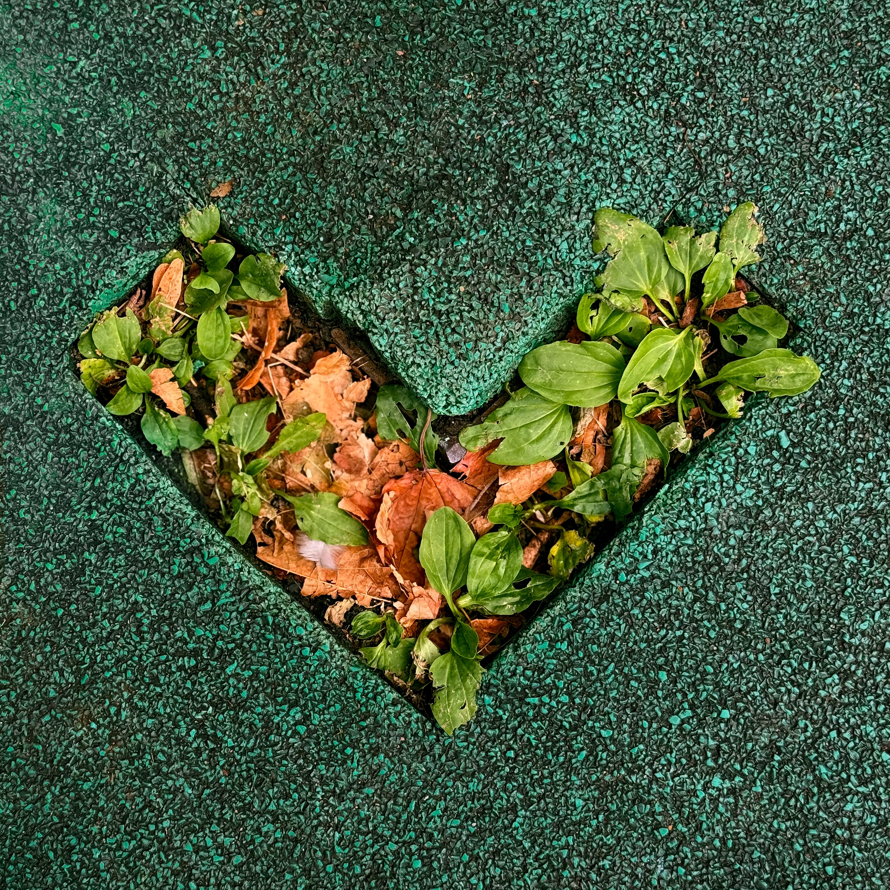 Не родись - Single