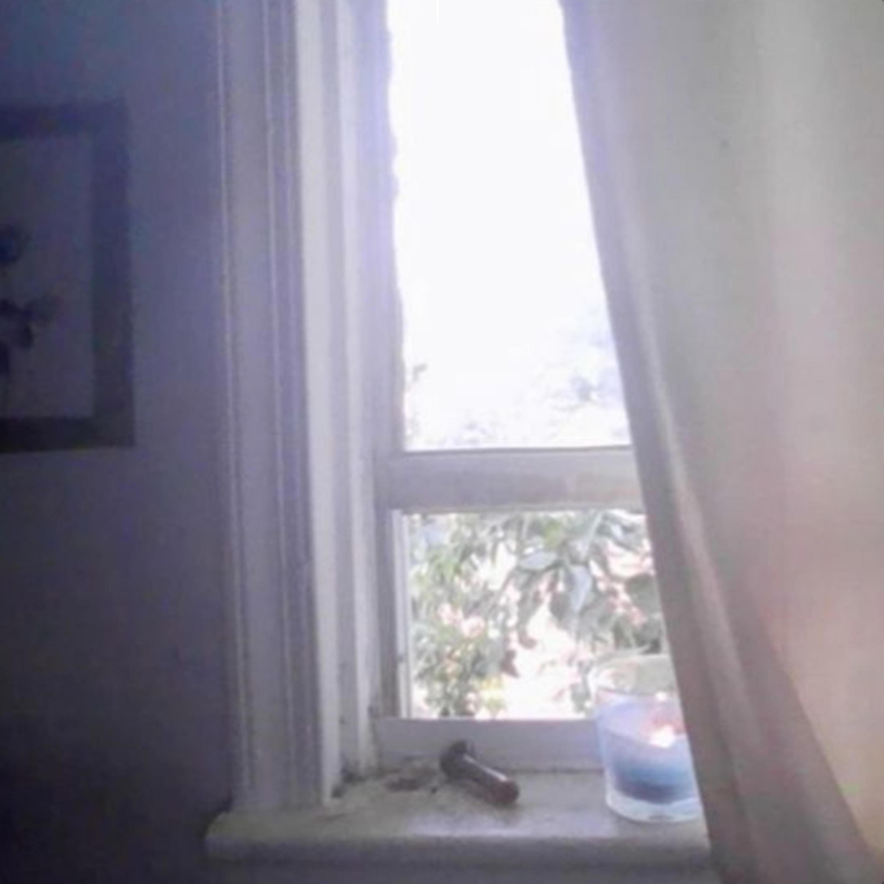 August Underground - Single