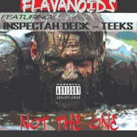Not the One (feat. Inspectah Deck & Teeks) - Single - Flavonoids