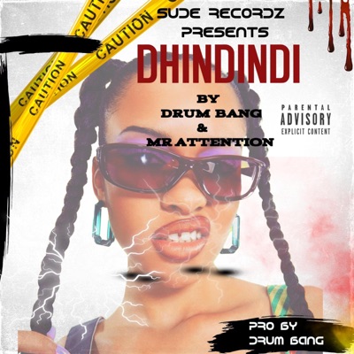 DHINDINDI (feat. Mr Attention) - Single