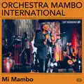 Mi Mambo