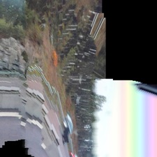 Essentially a Vivisection