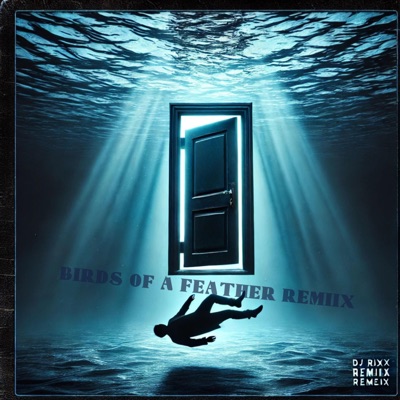 DJ RixX - birds of a feather (REMIX)