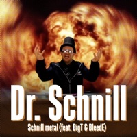 Schnill metal (feat. Big T & BleedE) - Single - Dr. Schnill