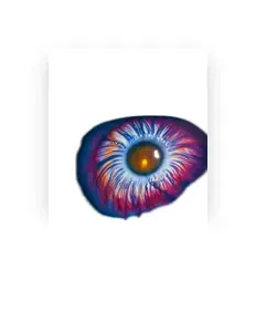 Listen to Moul, watch music videos, read bio, see tour dates & more!