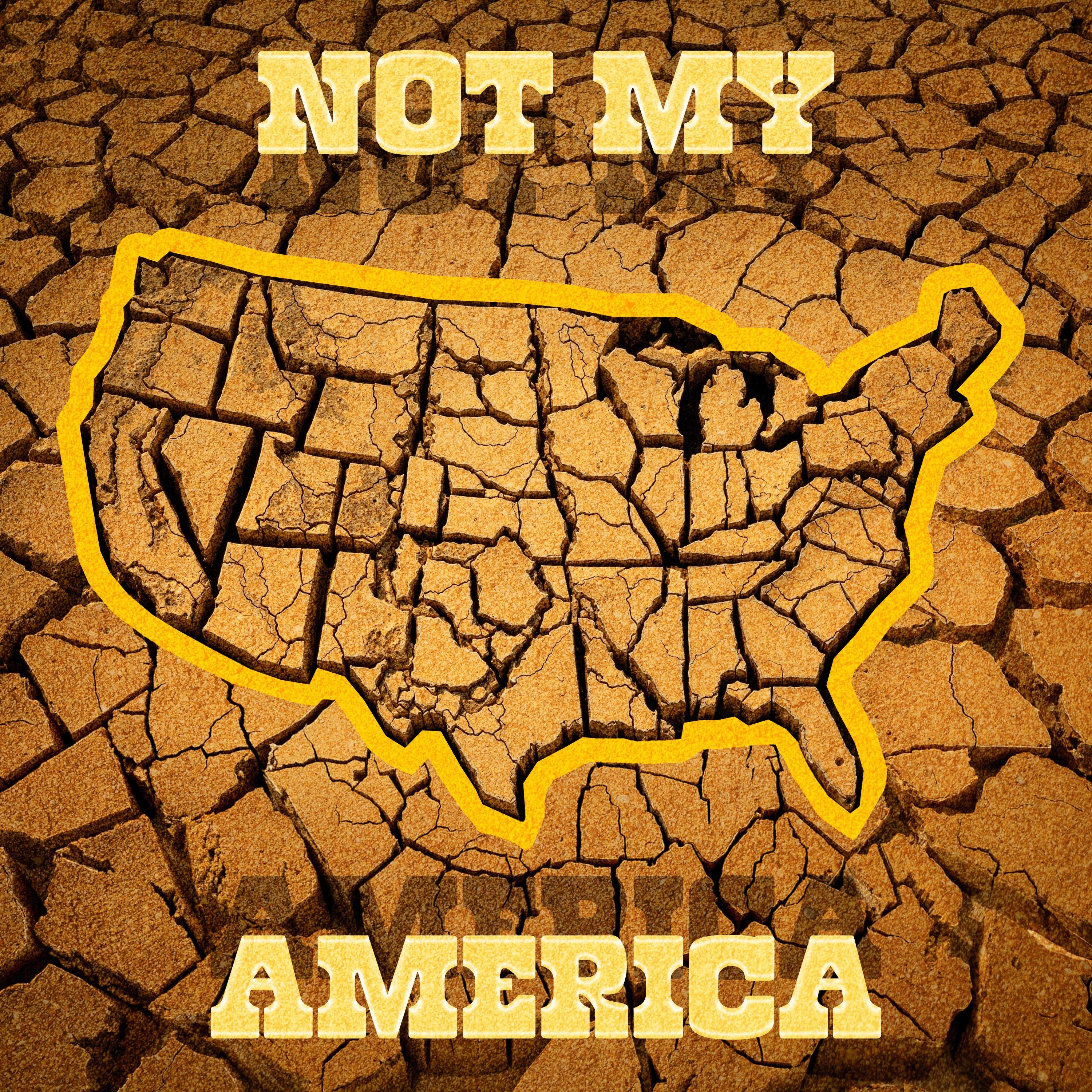 Not My America - Single