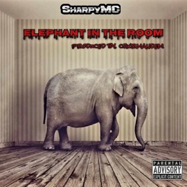 Elephant In the Room (feat. Charmandem) SharpyMC