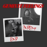 Mixed feelings (feat. SD) [DJ Mix] - JDS.7