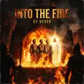Into the Fire