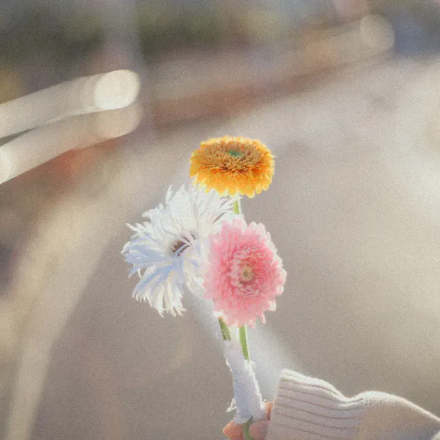 \[ALBUM\] なんかいい日になる気がする by 至福ぽんちょ – Apple Music