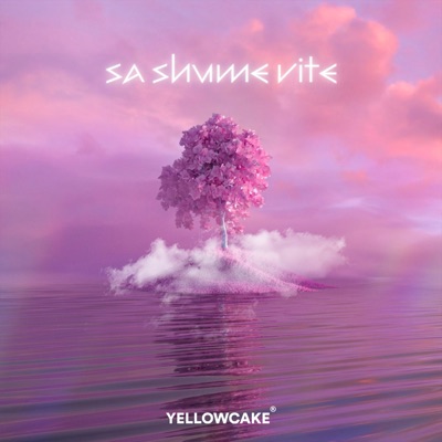 Sa shume vite - Single
