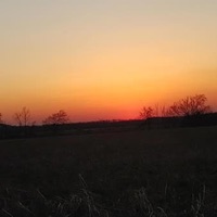 Attached (Forgive Me) - Single - NØT