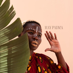 African Diviner