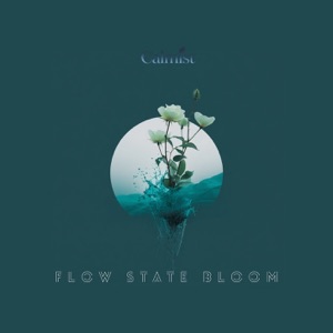 Flow State Bloom