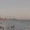 Bio
