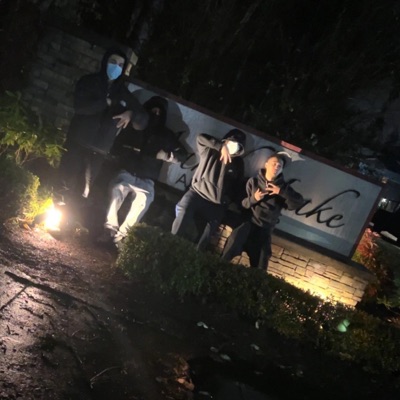 Fortinite (feat. 2P_Sicario & 2P_Milo) - Single