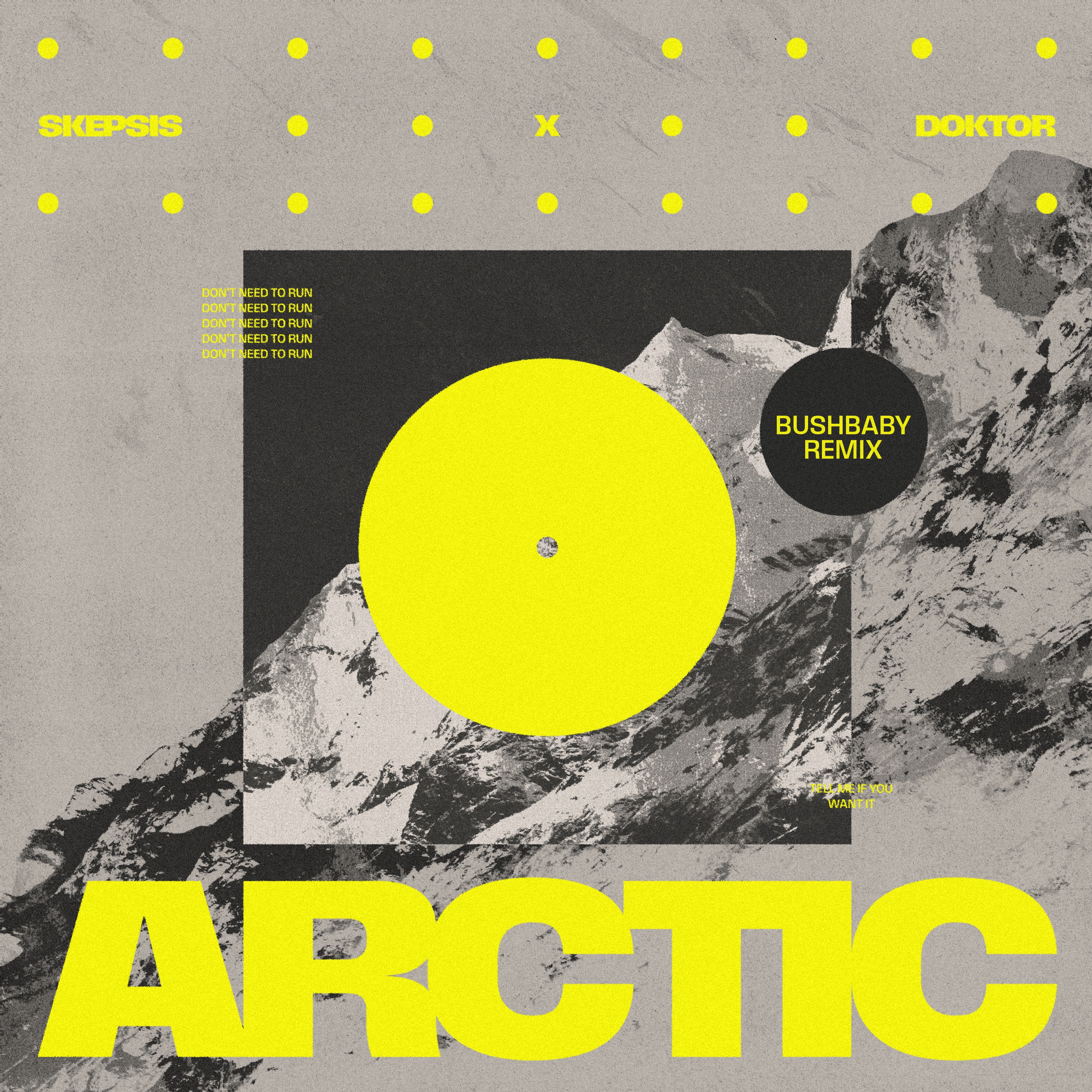 Arctic (Bushbaby Remix) - Single
