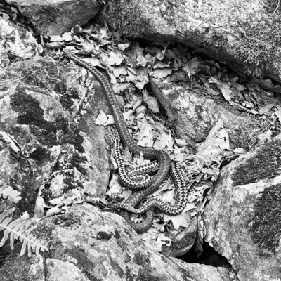 vid min grav//maktspel - Single