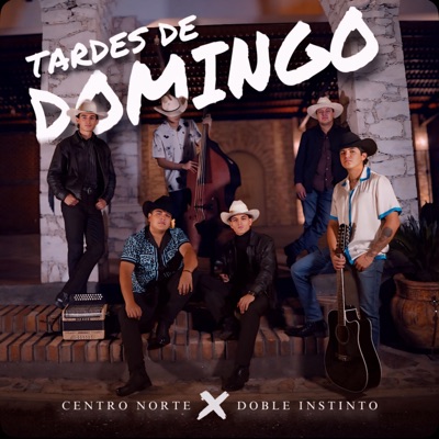 Tardes de Domingo (feat. Doble Instinto) - Single