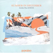 Summer In December artwork