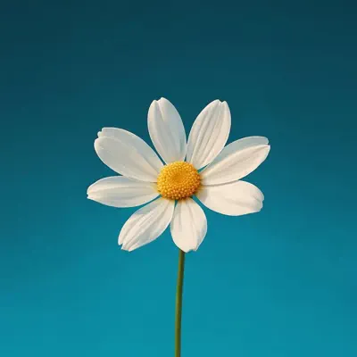 Listen to Zen - Single by Amu