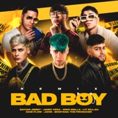 BAD BOY (feat. Juhn, Jairo Vera, Dani Flow & Montaña the Producer) [Remix] artwork