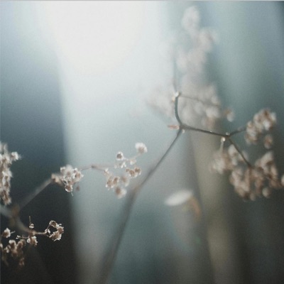 BALLADE FOR BEATRICE - Single