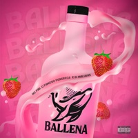Ballena - Single - MC Fini, O FAMOSO PERERECA & Dj Malukas