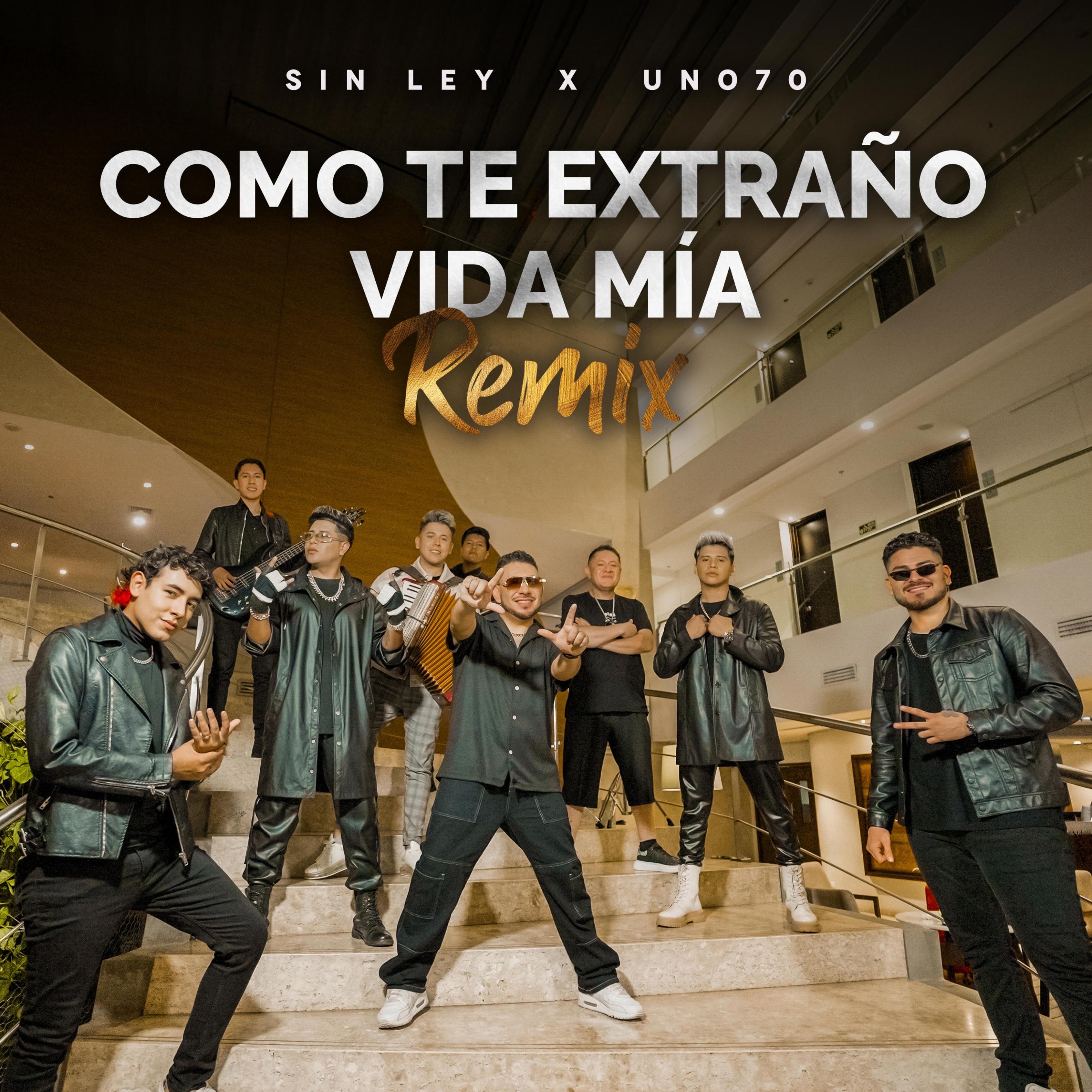 Como Te Extraño Vida Mía (Remix) - Single