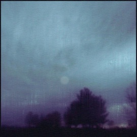 Shattered Spine Nibs