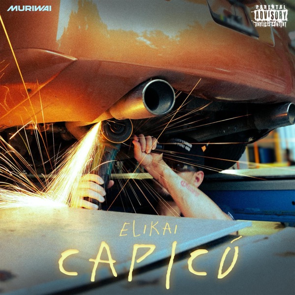 Capicú