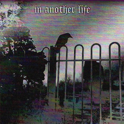 in another life (feat. xvlonely) - Single