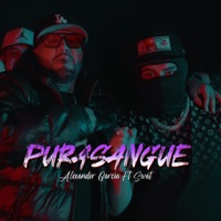 PURASANGUE (feat. Swat) - Single - Alexander Garcia