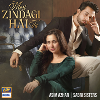Meri Zindagi Hai Tu - Asim Azhar &amp; Sabri Sisters Cover Art