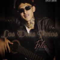 Los días frios (feat. Felix) - Single - Soundfrutt