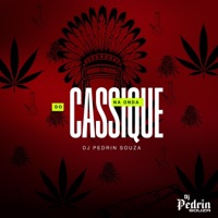NA ONDA DO CASSIQUE - Single - DJ PEDRIN SOUZA