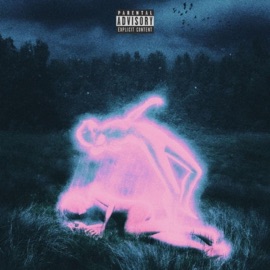 NO HEART (feat. $tefano) DENZZ!